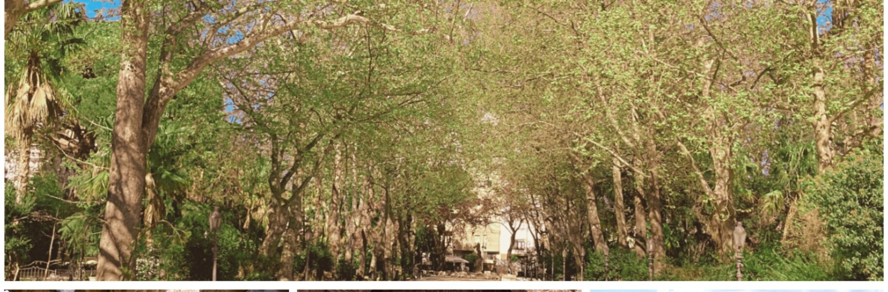 Alameda del Tajo